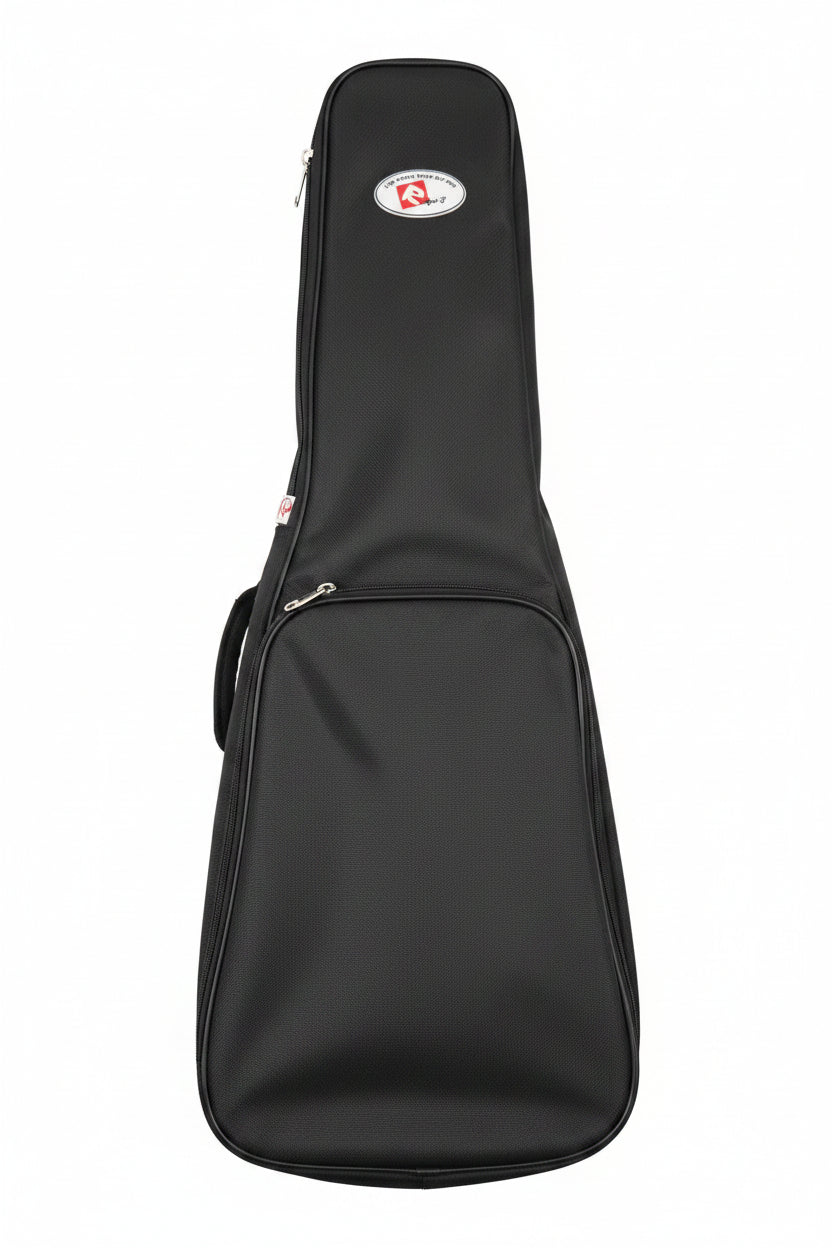 RAGA VIOLIN-1 BOX.