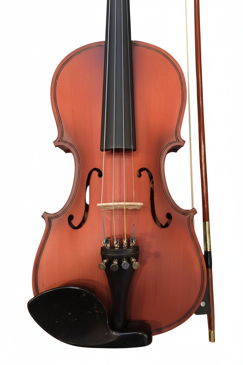 RAGA VIOLIN-4