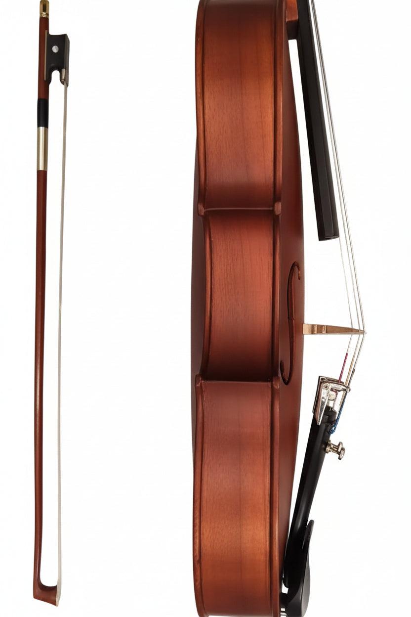 RAGA VIOLIN -7 SIDE VIEW