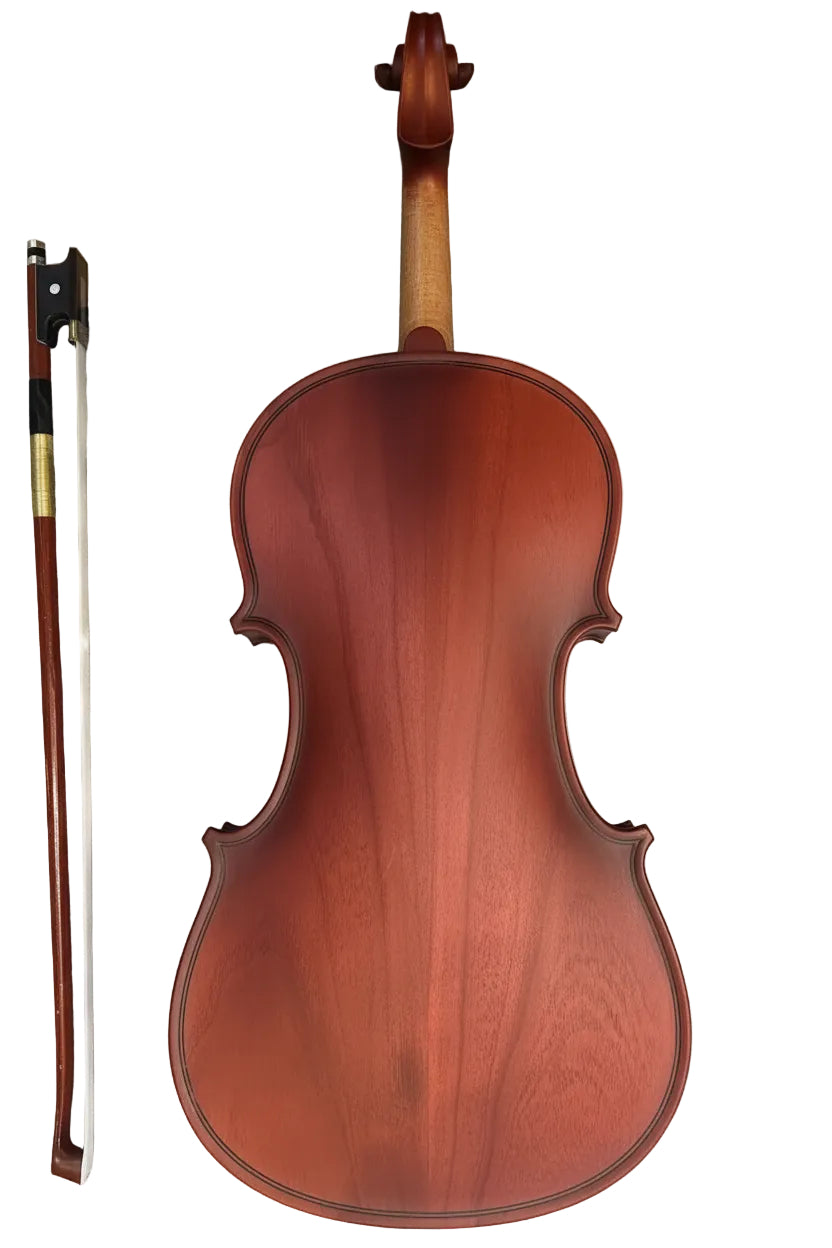 RAGA VIOLIN -8