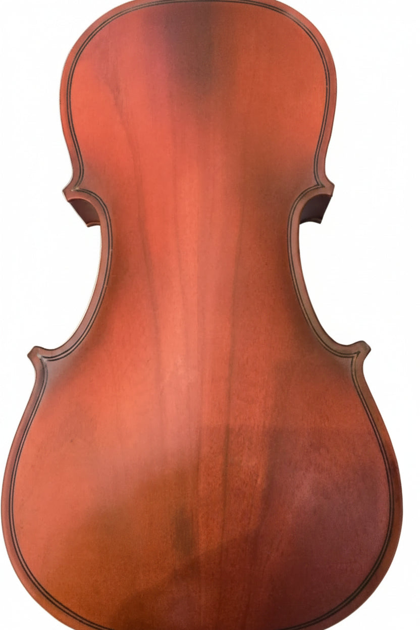 RAGA VIOLIN -9