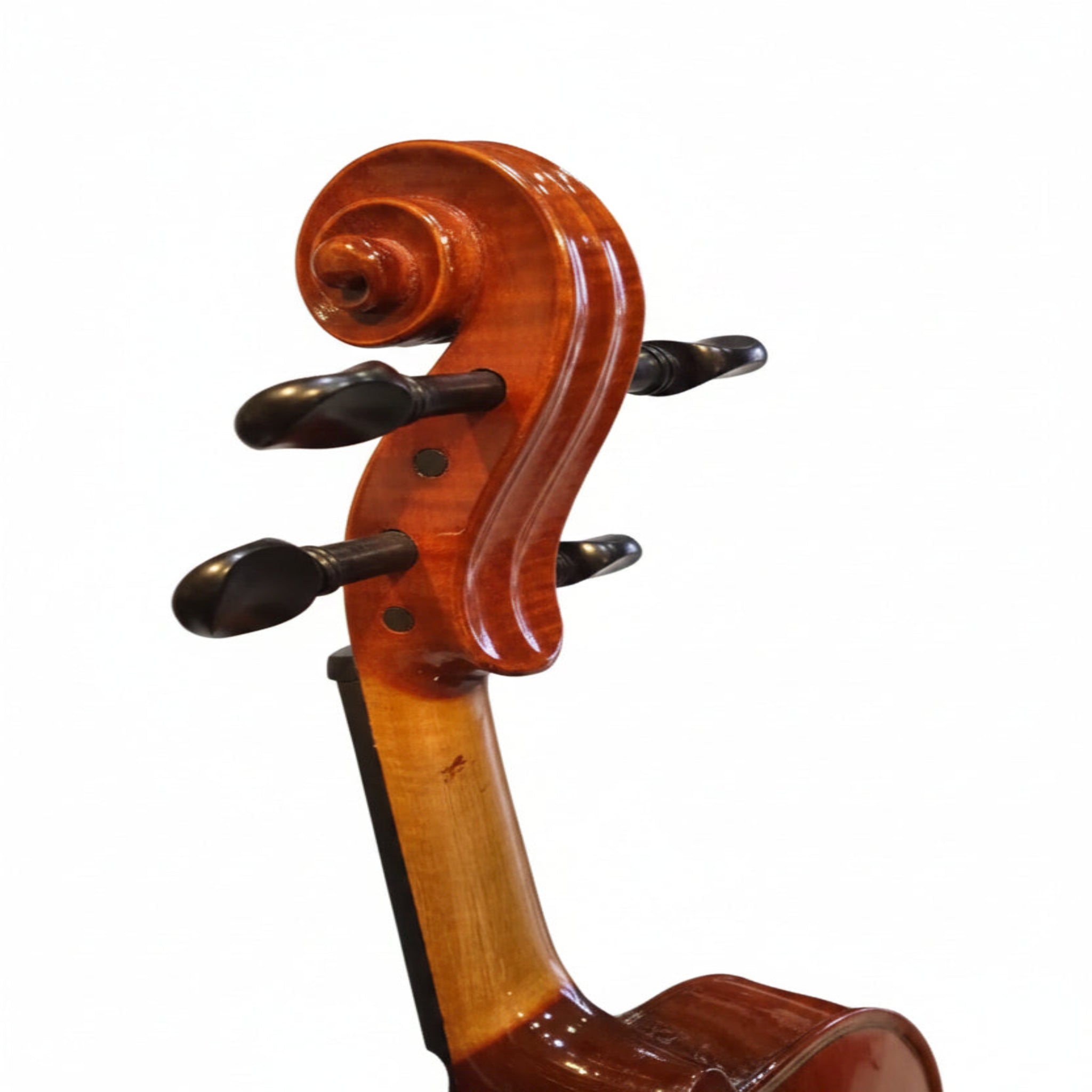RAGA VIOLIN 120-1117