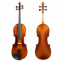 Two violins shown from front and back 