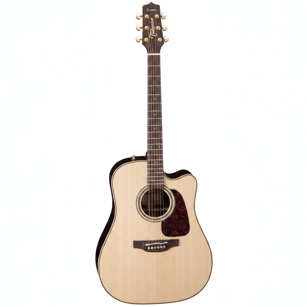 Takamine P5DC Acoustic guitar on a white background