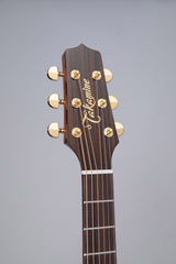 ACOUSTIC GUITAR Takamine P5DC