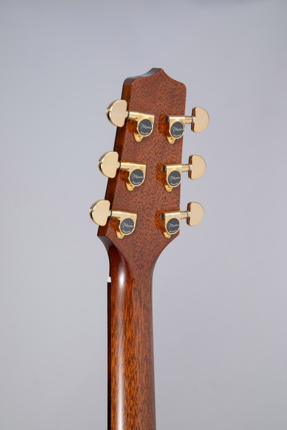 Takamine P5DC BACK SIDE