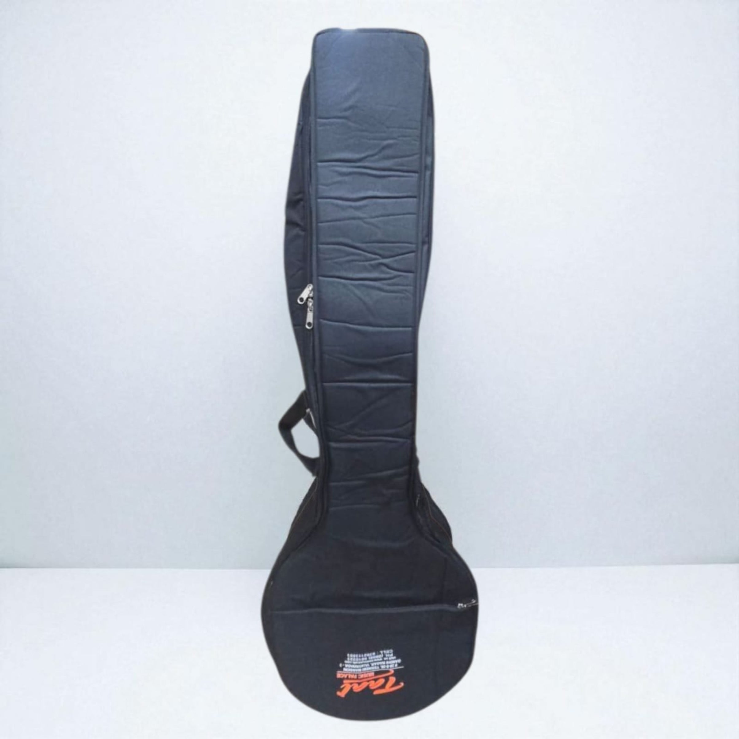 VEENA BAG