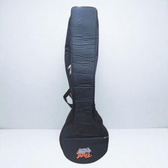 VEENA BAG