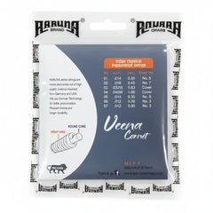 VEENA STRINGS-2