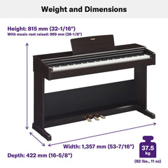 Yamaha YDP-105 Arius Digital Piano ( Bench Included )-Taal Musicals