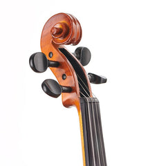 Close-up of a violin's fiddle head 
