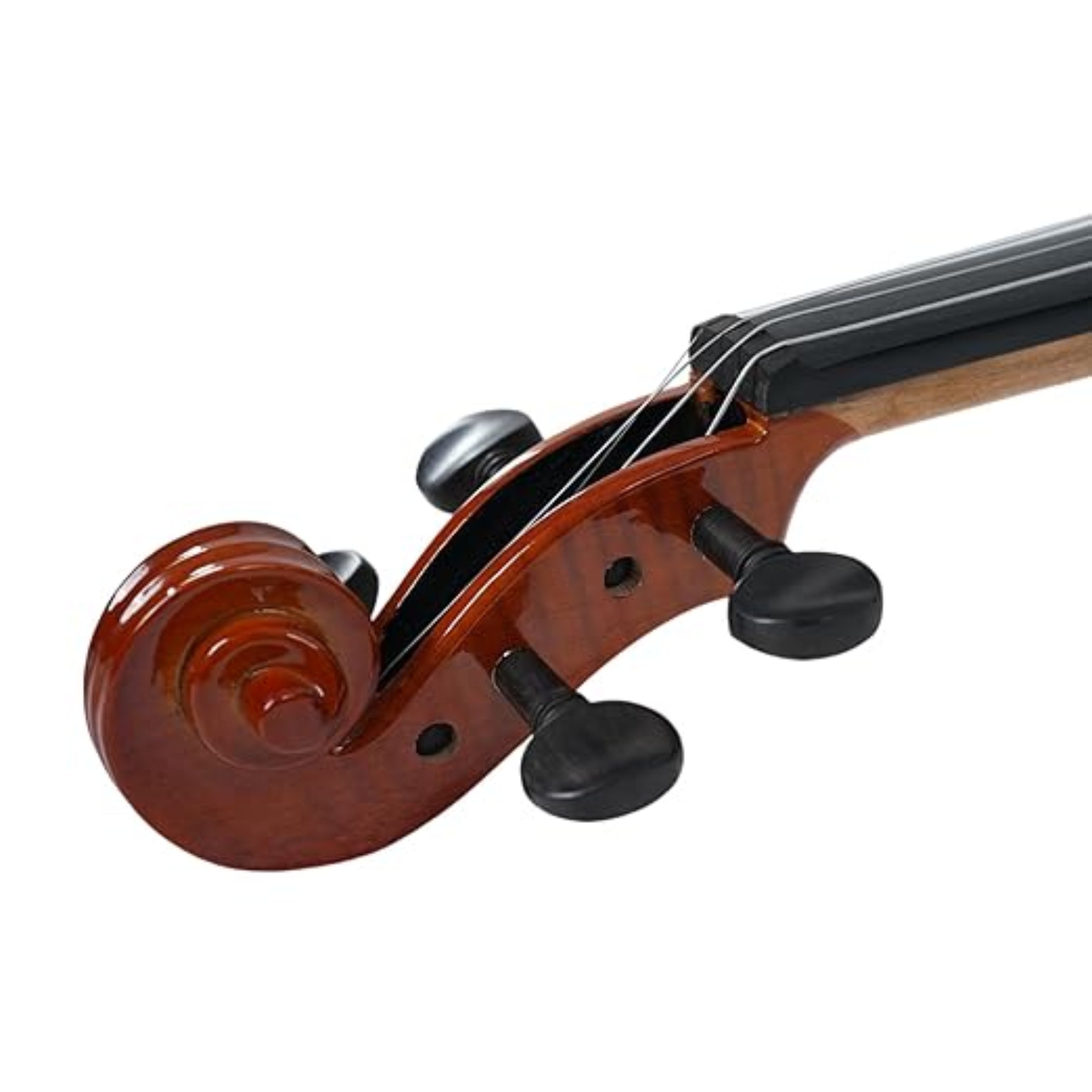 Close-up of a violin's fiddle 