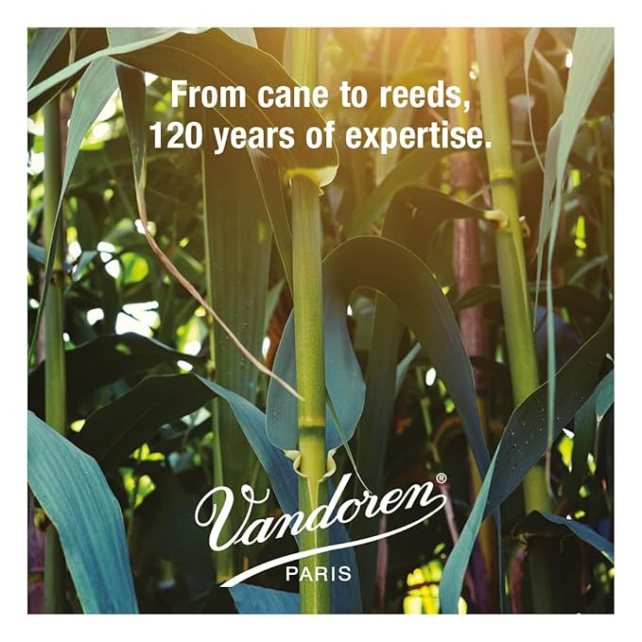Vandoren saxophone reeds 