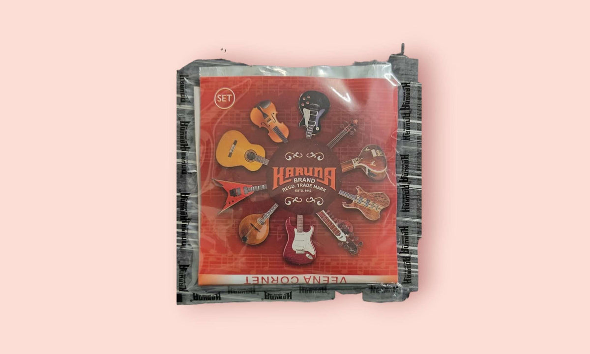 Karuna Brand Veena Cornet Saraswati Veena Complete Strings – Taal Musicals