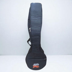 Taal Musicals Veena Bag with Foam Padding