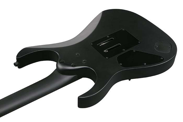 IBANEZ ELECTRIC GUITAR SERIES IRON LABEL RGRB620-BKF-TAAL MUSICALS
