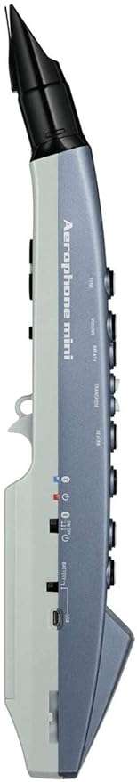 Roland AE-01 Aerophone Mini Digital Wind Instrument - Taal Musicals
