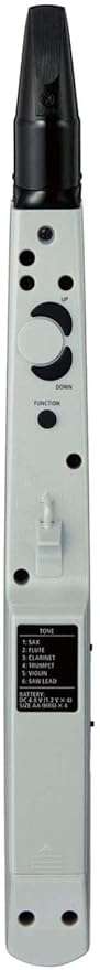 Roland AE-01 Aerophone Mini Digital Wind Instrument - Taal Musicals