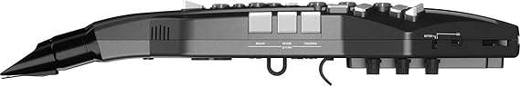 Roland Aerophone GO AE-05 Digital Wind Instrument - Taal Musicals