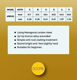 Acoustic Guitar String Set AW633 Score – Taal Musicals
