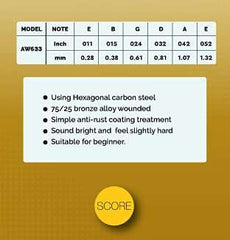 Acoustic Guitar String Set AW633 Score – Taal Musicals