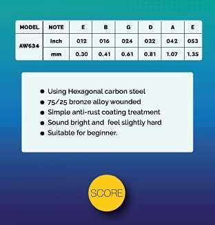 Score Acoustic Guitar String Set AW634 - Taal Musicals