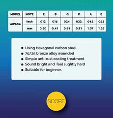 Score Acoustic Guitar String Set AW634 - Taal Musicals