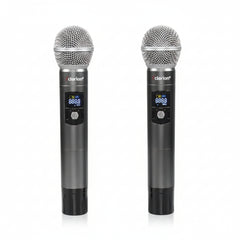 Two wireless microphones 
