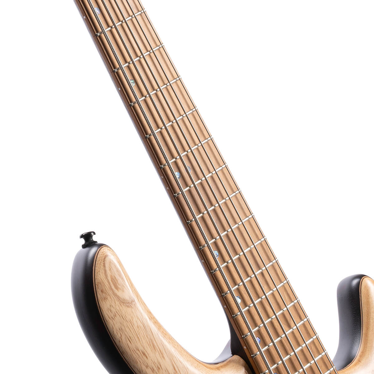 Cort B5 Element 5-Strings Bass Guitar - Taal Musicals