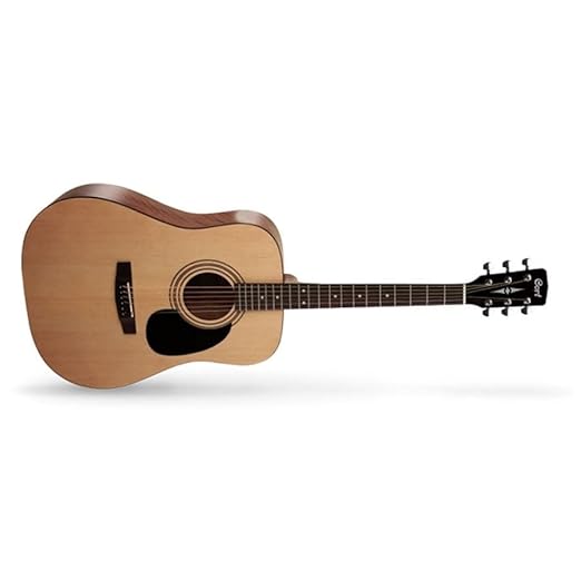 Acoustic guitar on a white background