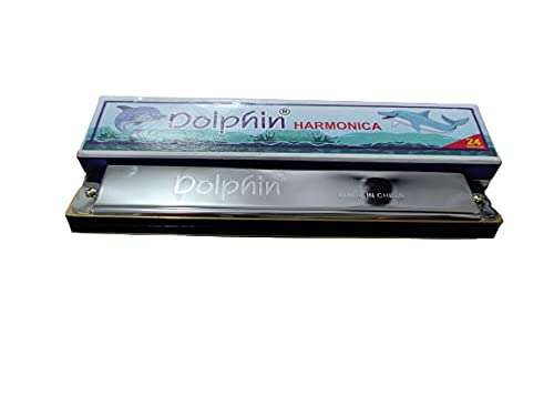 Mouth Organ 24 Holes (silver) Dolphin – Taal Musicals