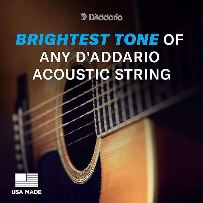 D'Addario EJ11 Acoustic Guitar Strings - Taal Musicals