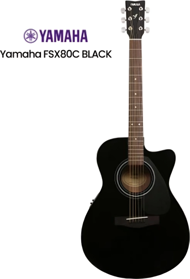 Yamaha FSX80C Black Electro Acoustic Guitar – Taal Musicals
