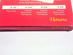 Violin Steel Strings HAVANA – Taal Musicals