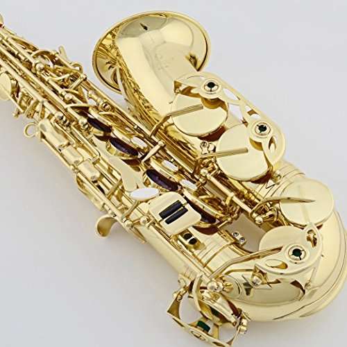 Jinbao JBAS200L Alto Saxophone Lacquered - Taal Musicals