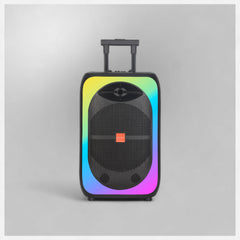 Clarion JM-Kelvin 15 80W RMS Portable Trolley Bluetooth Speaker with Two Wireless Mics – Taal Musicals