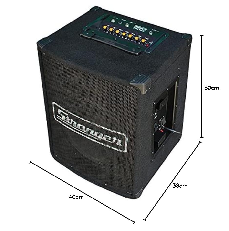 Stranger PM102 Musical Amplifier – Taal Musicals