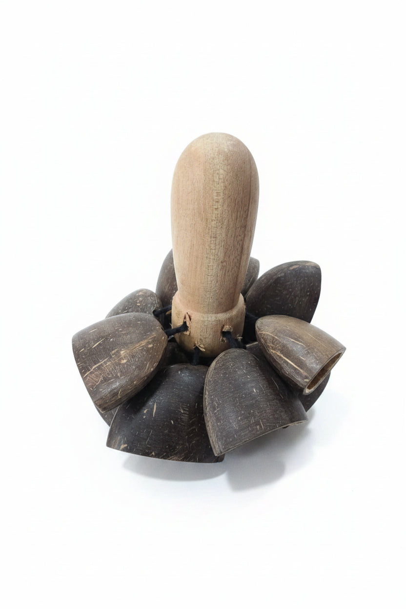 musical instrument, coco shaker-6