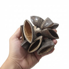 musical instrument, coco shaker