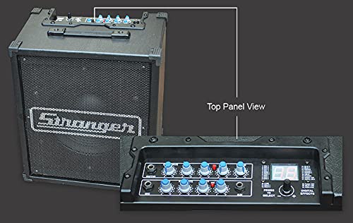 Stranger C80R Vocal Guitar & Aux Amplifier – Taal Musicals