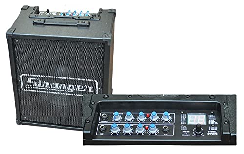 Stranger C80R Vocal Guitar & Aux Amplifier – Taal Musicals