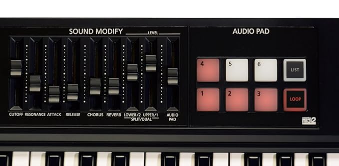 Roland XPS-10 Expandable Synthesizer Pro Keyboard(Black)