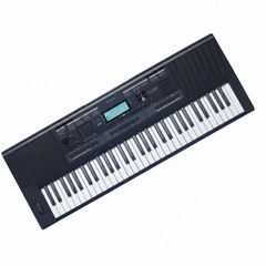 Rockstar SP-1000 Arranger Keyboard | 61-Key Indian Tones & Rhythms