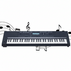 Rockstar SP-1000 Arranger Keyboard | 61-Key Indian Tones & Rhythms