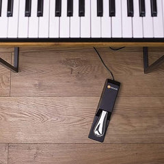 M-Audio SP-2 |Universal Sustain Pedal - Taal Musicals