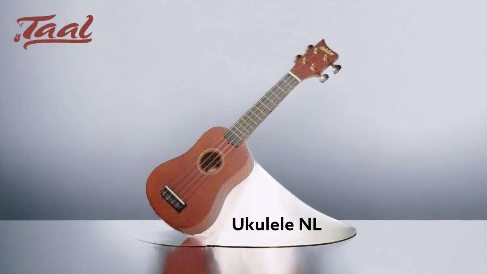 Ashton UKE110 Soprano Ukulele with Bag