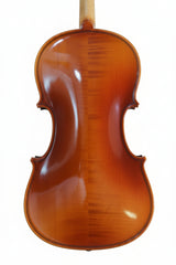 violin raga -4