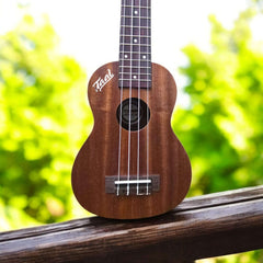 Winner Soprono Ukulele Mahagony Wood  – Taal Musicals