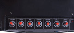 STRANGER CUBE 40M AMPLISPEAKER – Taal Musicals